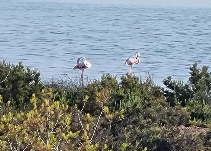 Alma&mateo * El Moncayo